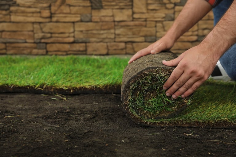 Sod Project