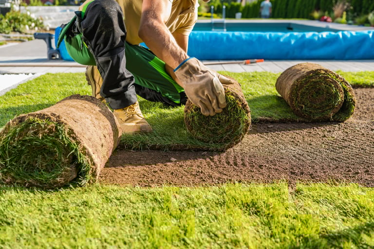 Sod Installation Project