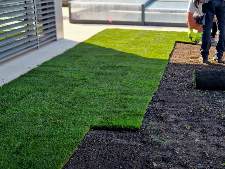Sod Installation
